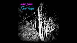 DARIO-SILVER-Mirko-Hirsch-Back-Tonight-7-Single-Version-Official-Clip-lyrics-ITALO-DISCO-attachment