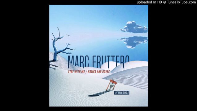 Marc-Fruttero-Hawks-and-Doves-Electro-Potato-Remix-attachment