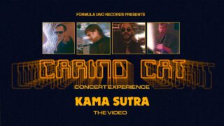 Carino-Cat-Kama-Sutra-Live-Experience-attachment