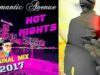ROMANTIC-AVENUE-2017-HOT-NIGHTS-IN-THE-CITY-original-Mix-feat.-Alimkhanov-.-A-modern-Talking-attachment
