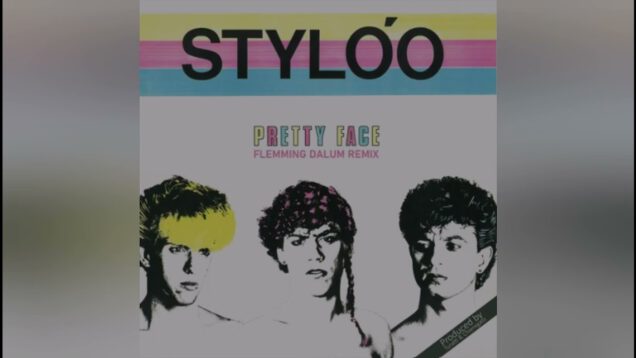 Styloo-Pretty-Face-Flemming-Dalum-Remix-attachment