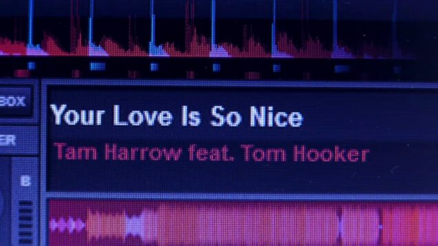 Tam-Harrow-feat-Tom-Hooker-Your-love-is-so-nice-1st-extended-attachment